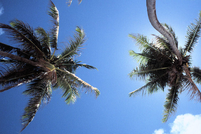 Seychellen 1999-100.jpg